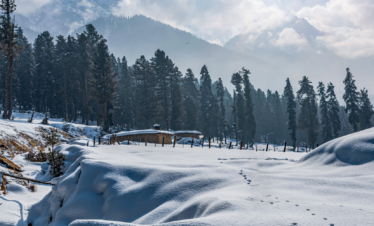 Best of Kashmir Tour Package