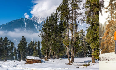 Kashmir Honeymoon Package
